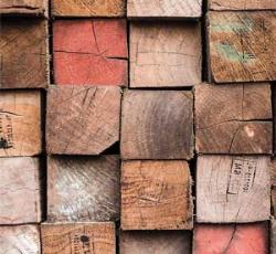 شناخت چوب در هنر منبت
